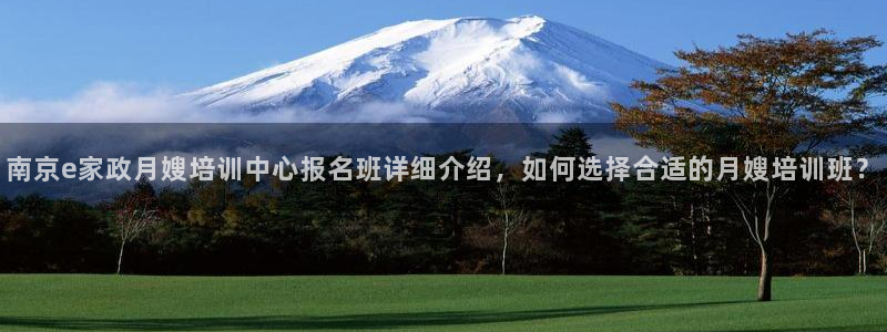杏悦平台代理怎么做