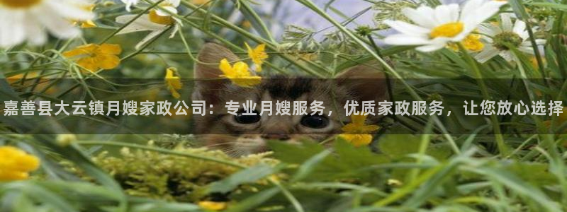 杏悦平台可靠吗可信吗安全吗