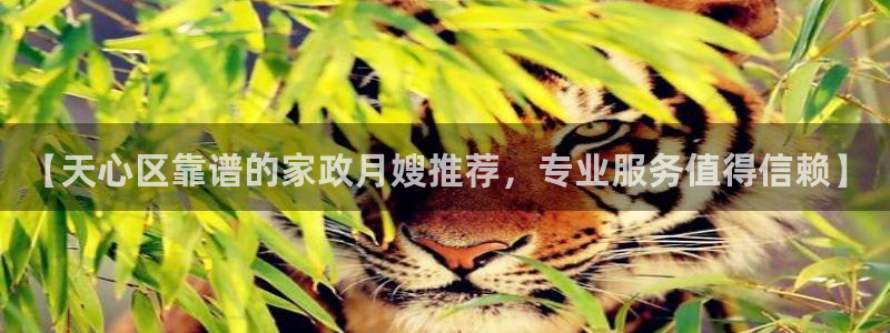 杏悦官方平台是正品吗安全吗