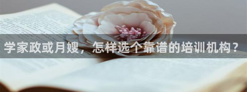 杏悦平台如何