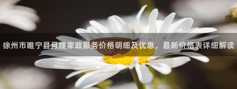 杏悦平台代理怎么赚钱的