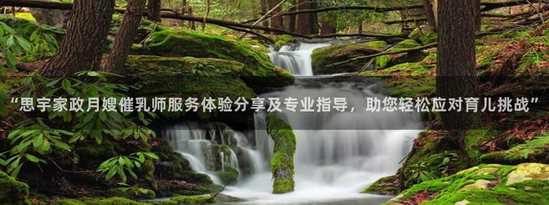 杏悦招商地址