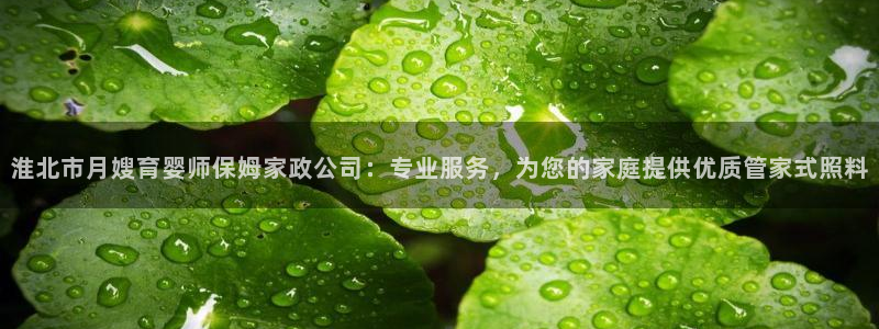 杏悦娱乐是什么