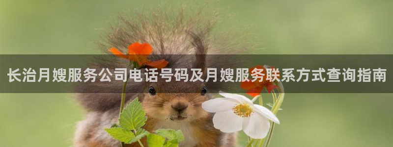 杏悦娱乐怎么玩