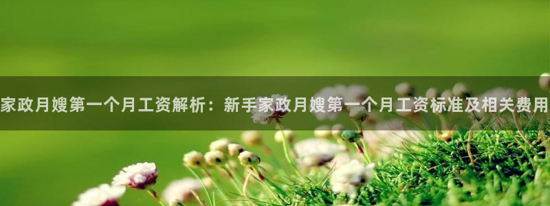 杏悦平台招商