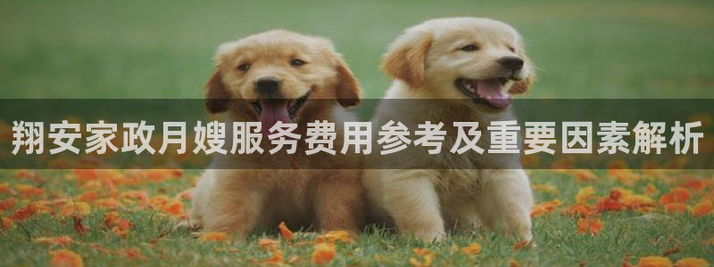杏悦平台代理怎么做