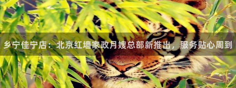 杏悦平台可靠吗可信吗知乎