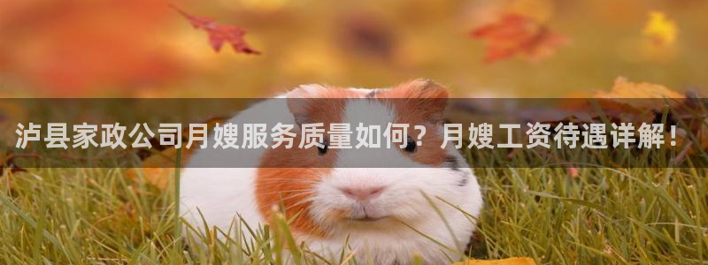 杏悦招商地址
