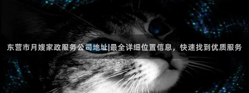 杏悦平台开户地址