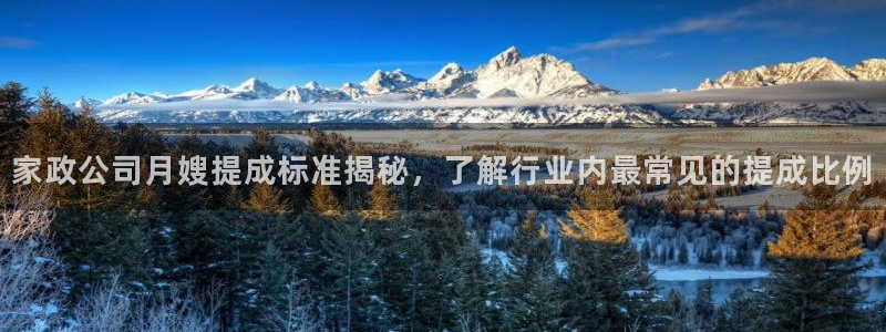 杏悦平台代理怎么样啊