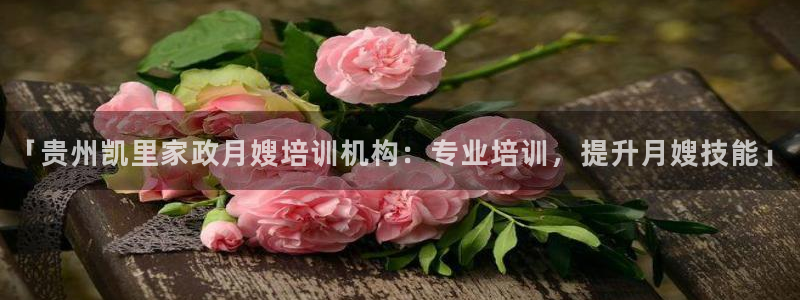 杏悦平台招商