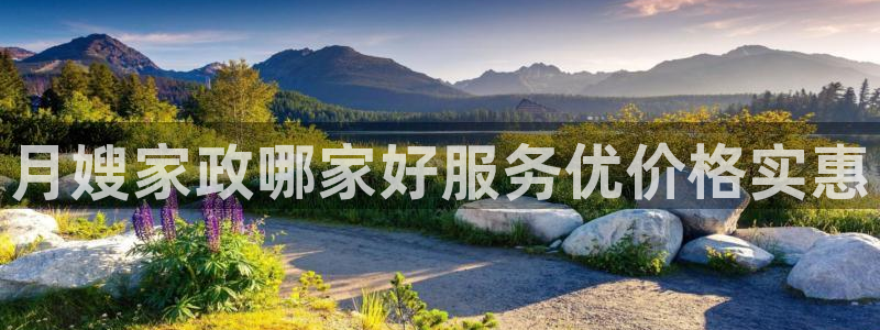 杏悦平台代理
