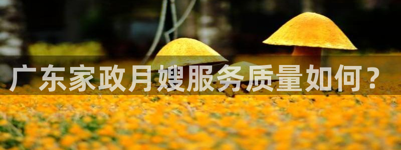杏悦招商地址