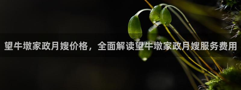 杏悦平台招商电话