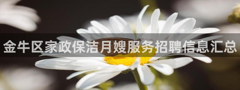 杏悦平台可靠吗可信吗安全吗