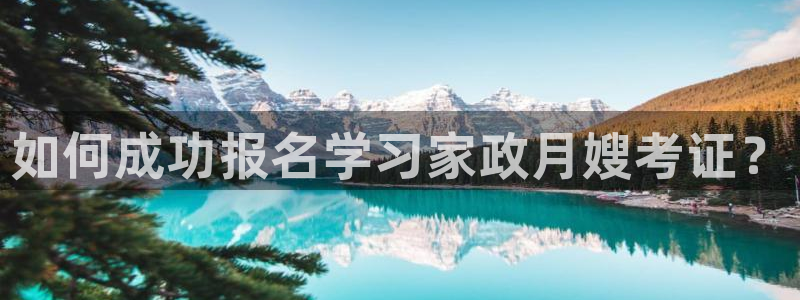 杏悦平台招商电话