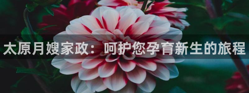 杏悦平台招商怎么样