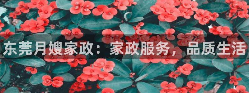杏悦官方平台官网入口