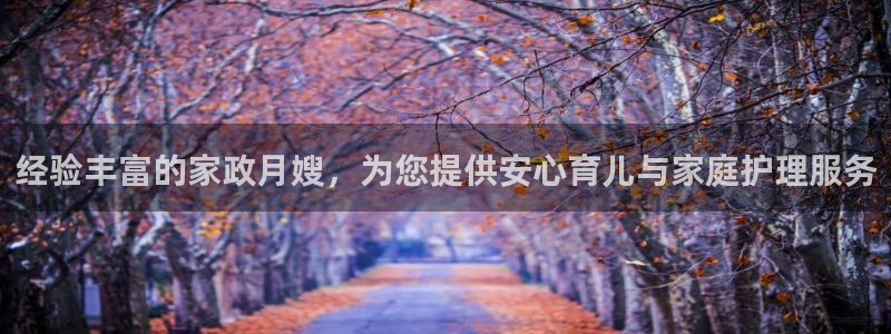 杏悦平台如何