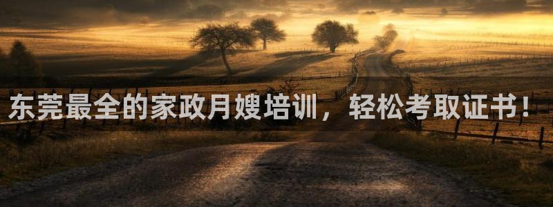 杏悦平台代理怎么样
