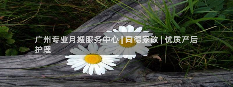 杏悦平台登陆