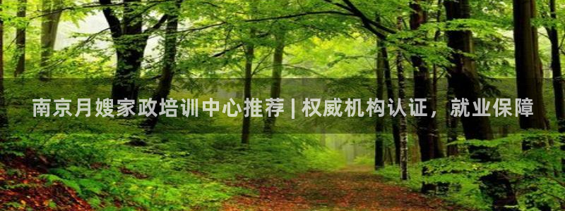 杏悦是什么平台