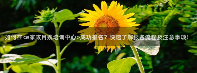 杏悦t首选推荐平台