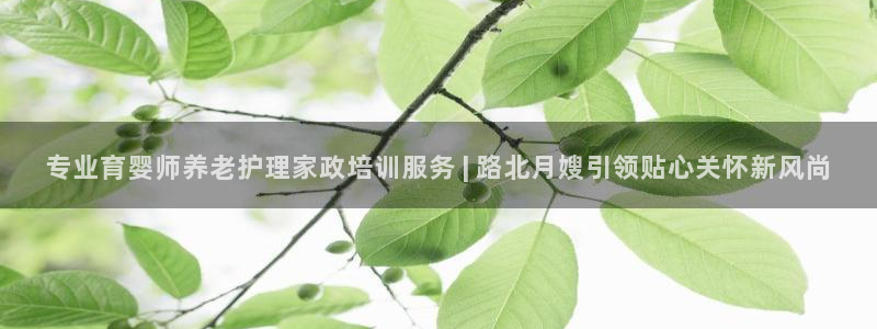 杏悦平台代理怎么赚钱快