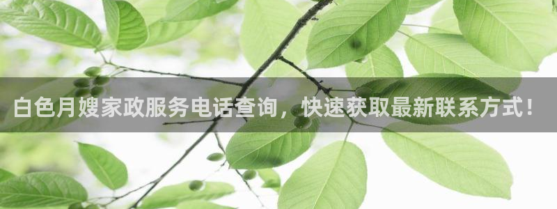 杏悦娱乐怎么玩