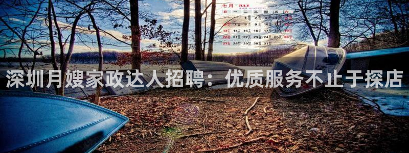 杏悦平台代理怎么做