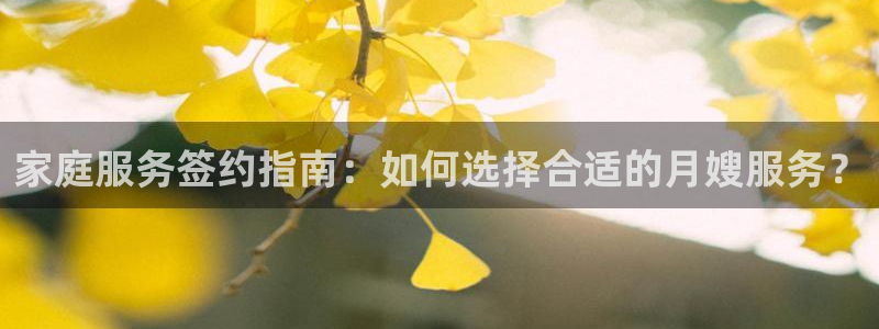 杏悦总代理