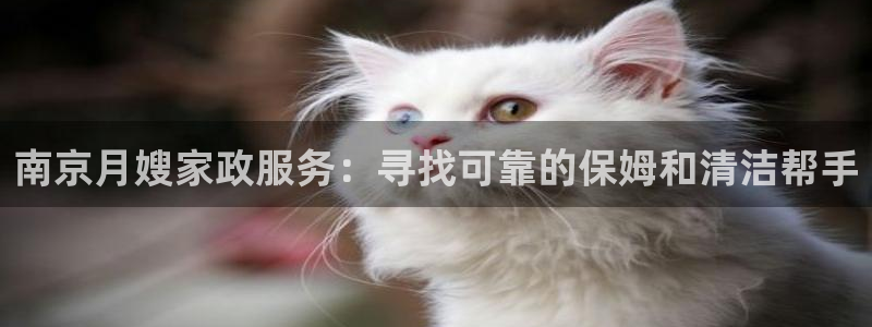 杏悦平台线路测速