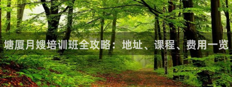 杏悦平台代理怎么赚钱快