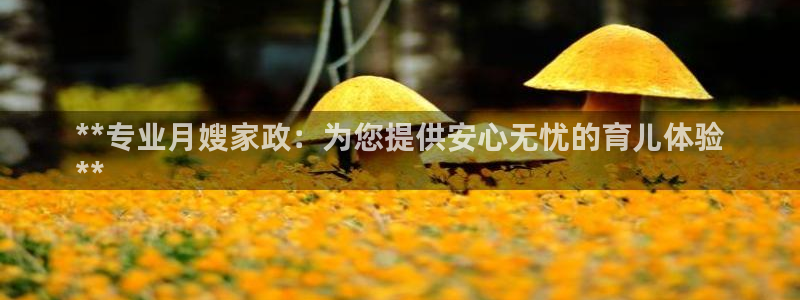 杏悦平台主管