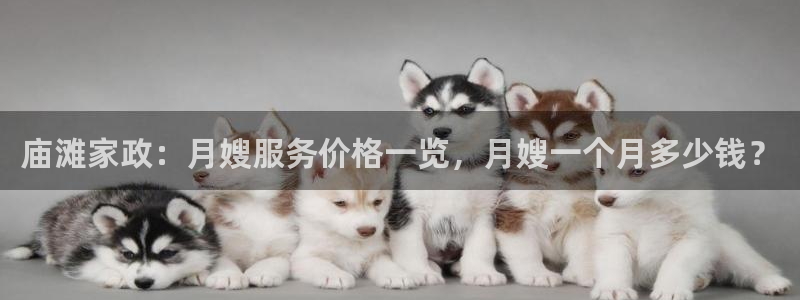 杏悦平台如何