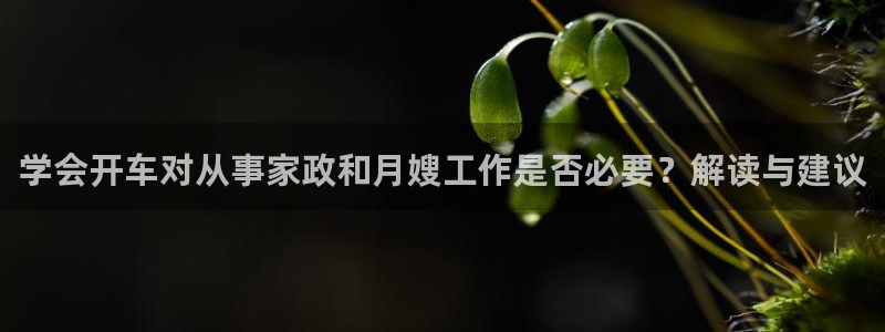 杏悦娱乐是什么