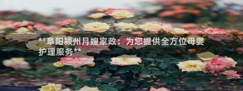 杏悦平台代理多少钱