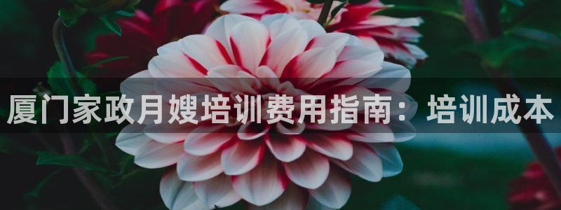 杏悦娱乐平台靠谱吗