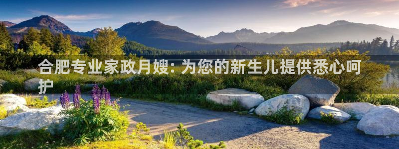 杏悦平台如何